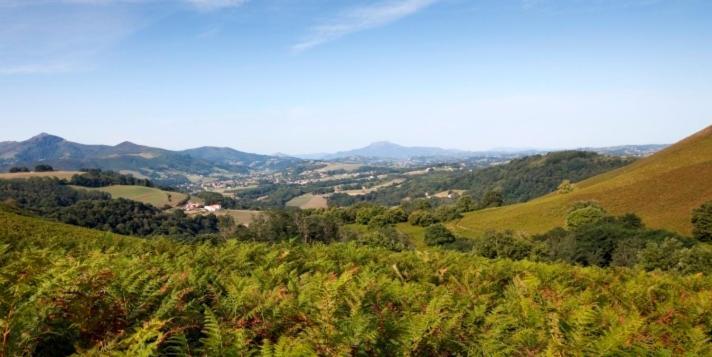 فندق كامبو-لي-بانفي  Le Domaine Du Levant المظهر الخارجي الصورة